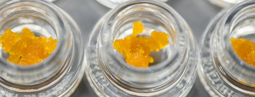 Live Resin Sauce Products Online Canada - Togo Weed