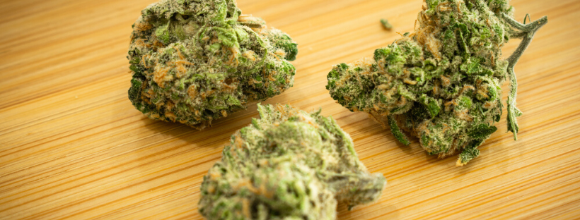 20 Best And Strongest Marijuana Strains - Togo Weed