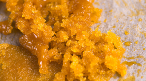 Resin vs. Live Resin vs. Rosin: What’s the Difference?