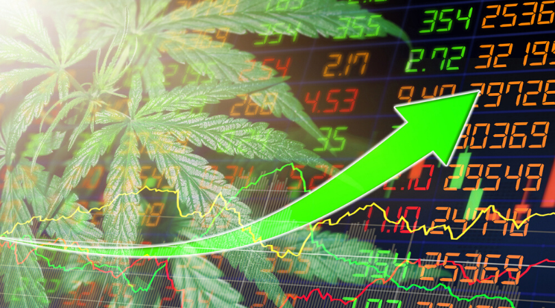 Beginner’s Guide To Investing In Marijuana Stocks - Togo Weed